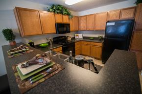 Greensboro apartment for rent - A kitchen with wooden cabinets and a black refrigerator.