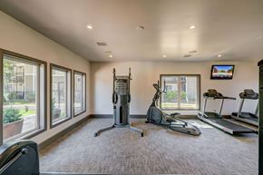 Aurora apartment for rent - A spacious gym with a treadmill, elliptical trainer, and other exercise equipment.