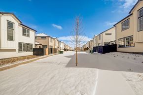 Aurora apartment for rent - A snow-covered street with apartment buildings on either side.