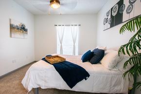 San Antonio apartment for rent - A bedroom with a bed, pillows, and a plant.