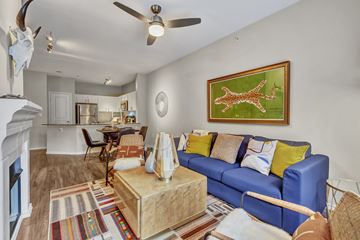 Dallas apartment for rent - A living room with a blue couch and a painting of a giraffe.
