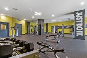 Camp Springs apartment for rent - A gym with a variety of equipment including dumbbells and weight machines.