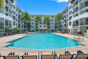Miami apartment for rent - A large swimming pool surrounded by lounge chairs and palm trees.