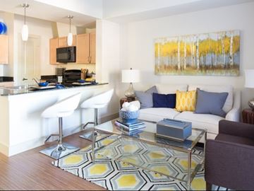Dallas apartment for rent - A modern living room with a white couch and a yellow and blue rug.