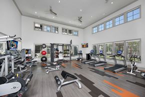 Lawrenceville apartment for rent - the gym has a large amount of exercise equipment and windows