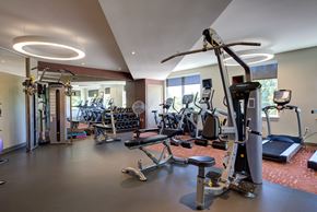 Medford apartment for rent - A gym with a variety of equipment including treadmills, weights, and exercise machines.