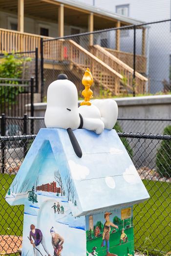 Pet park