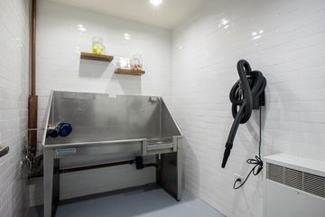 Chicago apartment for rent - A kitchen with a stainless steel sink and a black hook on the wall.
