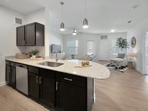 San Marcos apartment for rent - the enclave at homecoming terra vista kitchen and living room