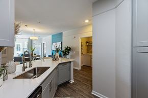 Tallahassee apartment for rent - .