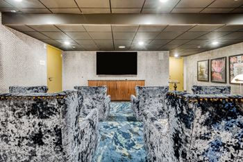 Theater and media room