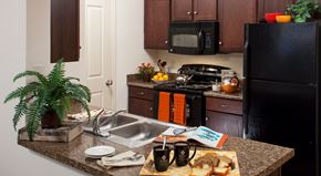 Fort Worth apartment for rent - A kitchen with a black refrigerator and a black microwave.