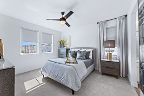Sherman apartment for rent - large bedroom with natural lighting and ceiling fan