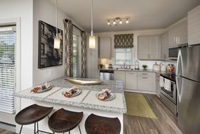 Lawrenceville apartment for rent - a kitchen with stainless steel appliances and a granite counter top