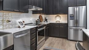 Charlotte apartment for rent - a kitchen with stainless steel appliances and black cabinets