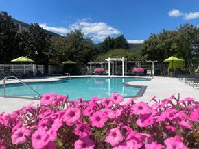 Roanoke apartment for rent - A pool surrounded by pink flowers and green umbrellas.