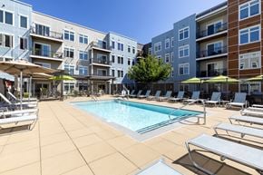 Medford apartment for rent - A pool surrounded by sun loungers and umbrellas in front of apartment buildings.
