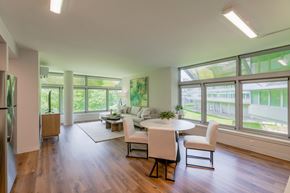 Danbury apartment for rent - a living room with a table and chairs and large windows