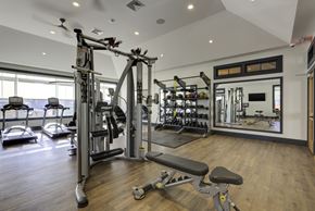 Chelmsford apartment for rent - A gym with a variety of equipment including a weight bench, a squat rack, and a mirror.