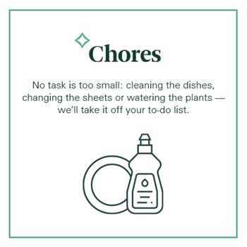 Lifestyle services provided by spruce