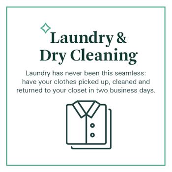 Lifestyle services provided by spruce