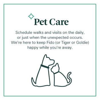 Lifestyle services provided by spruce