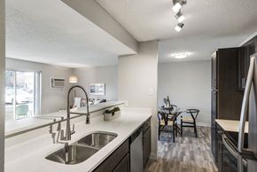 Coon Rapids apartment for rent - a kitchen with a sink and a counter top