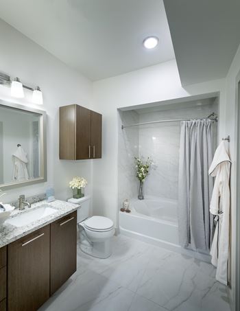 Spa-inspired bathrooms with large soaking tub