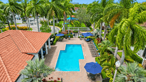 Ft. Lauderdale apartment for rent - A pool surrounded by palm trees and a red-tiled roof.
