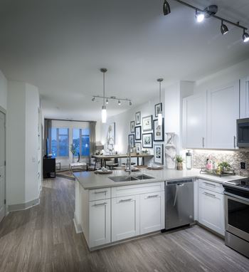 Gourmet kitchens with stainless steel appliances
