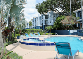 Orlando apartment for rent - A pool surrounded by trees and chairs.