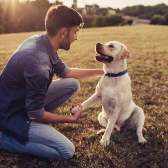 Pet-friendly