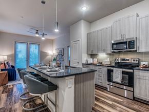 Farmers Branch apartment for rent - Granite counter tops, stainless appliance package, medium brown cabinets, plank wood-style flooring, island seating, abundant cabinet and pantry space