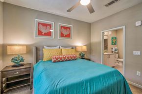 Charleston apartment for rent - A bedroom with a blue bedspread and two pillows with a cactus plant on a side table.