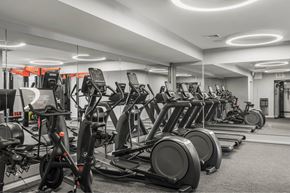 Brighton apartment for rent - a gym filled with rows of exercise bikes