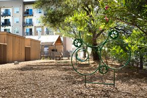 Austin apartment for rent - Dog Park