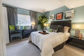 Doral apartment for rent - Large well lit bedroom with plush carpets and large windows 