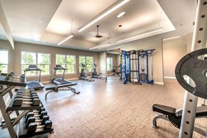 Rockwall apartment for rent - A spacious home gym with a variety of equipment including a squat rack, bench press, and dumbbells.