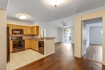 Delray Beach apartment for rent - A kitchen with wooden cabinets and a white ceiling.