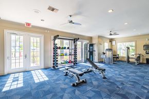 Orlando apartment for rent - A gym with a blue carpet and a variety of equipment.