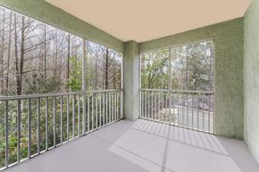 Orlando apartment for rent - Screened In Patio