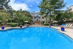 Columbia apartment for rent - Waters Edge at Harbison's community swimming pool surrounded by trees and lounge chairs.