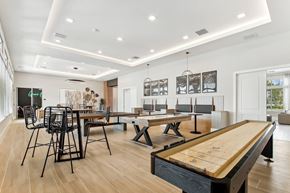 Palm Bay apartment for rent - A pool table is in the middle of a room with a long table and chairs.