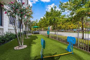 Pet park