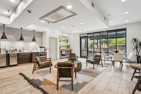 Mckinney apartment for rent - a living room with a kitchen and a dining room