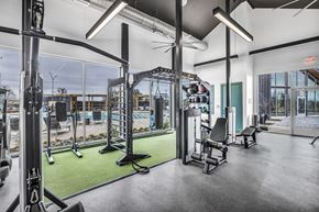 Round Rock apartment for rent - A gym with a variety of equipment including a squat rack, bench, and weights.