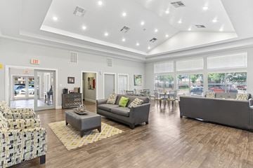 Dallas apartment for rent - A spacious living room with a grey couch and a yellow rug.