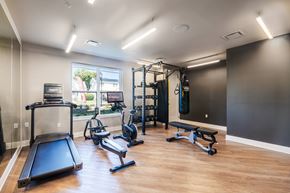 Hawthorne apartment for rent - A spacious home gym with a variety of equipment including a treadmill, exercise bike, and weight machines.