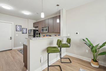 Durham apartment for rent - A kitchen with a green chair and a plant.