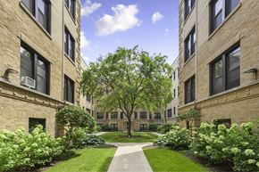 Chicago apartment for rent - A tree in the middle of a courtyard surrounded by buildings.